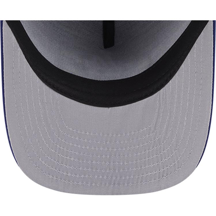 Los Angeles Dodgers New Era MLB 9FORTY 940 Snapback A-Frame Cap Hat Royal Blue Crown/Visor Team Color Logo Skating Cartoon